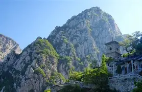 武林风20210706赵崇阳视频 武林风20210706赵崇阳视频