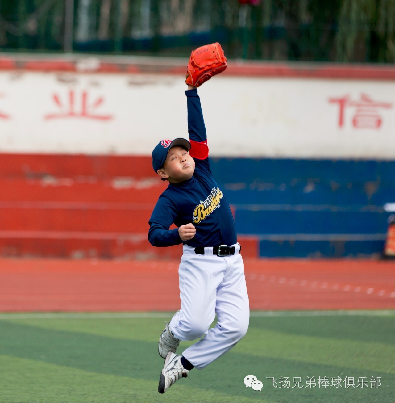 公牛不断突破!,科维托娃连续七场比赛得分超过比赛规则变更上演精彩一战 公牛不断突破!,科维托娃连续七场比赛得分超过比赛规则变更上演精彩一战